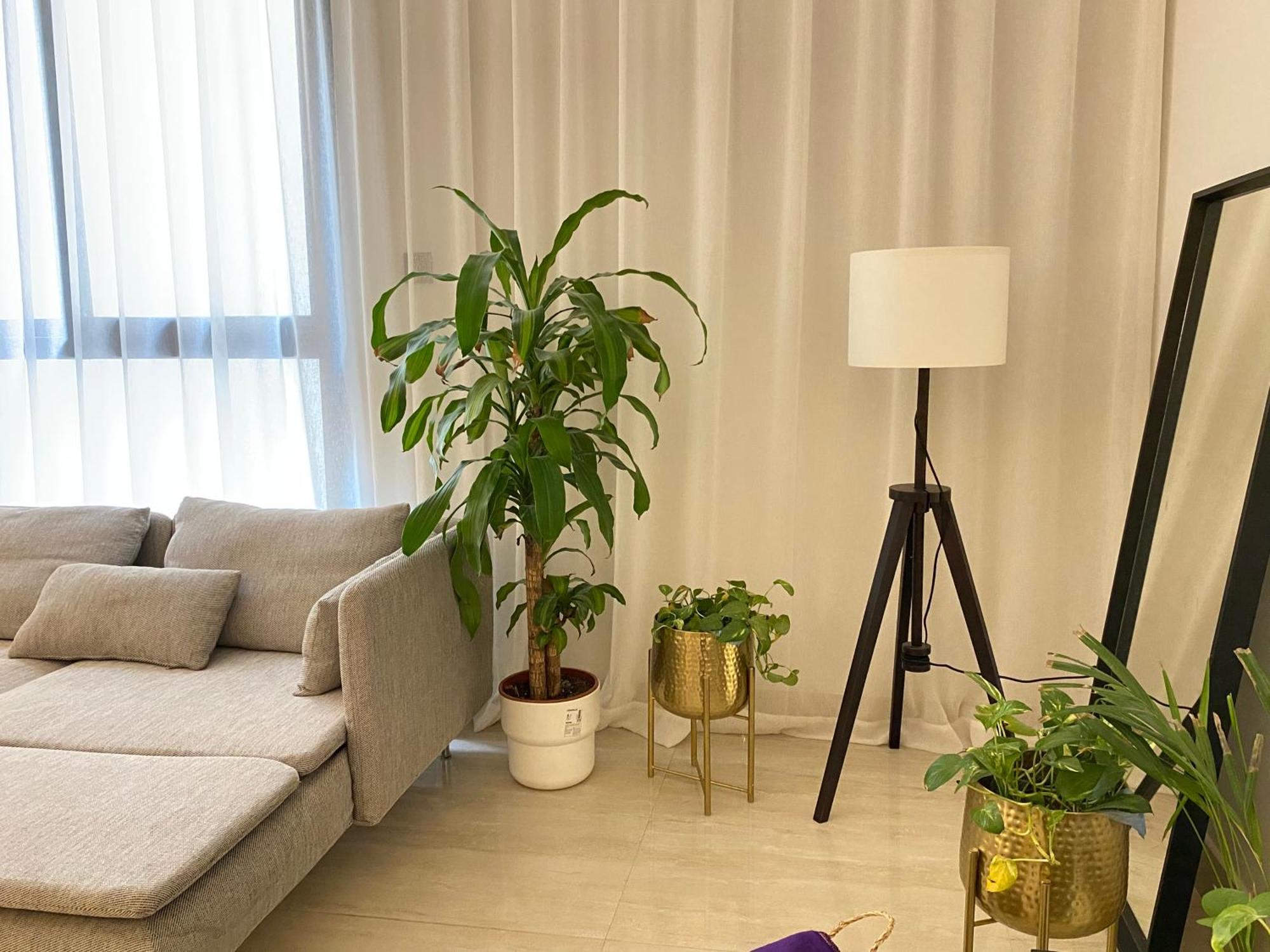 الرياض البوليفارد شقق عبيه Vip الفاخره Exterior photo